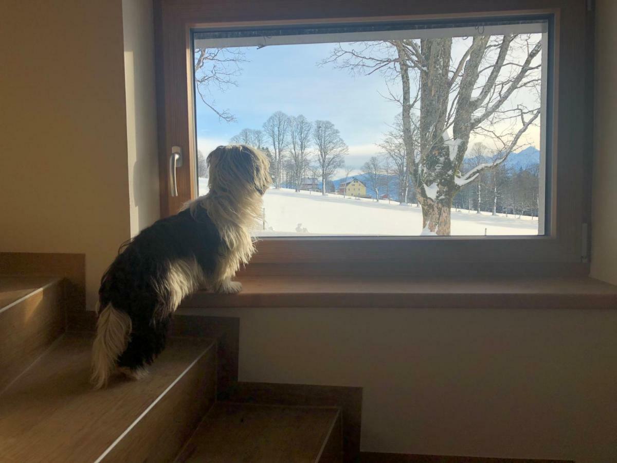 Haus Am Berg Leilighet Ramsau am Dachstein Eksteriør bilde