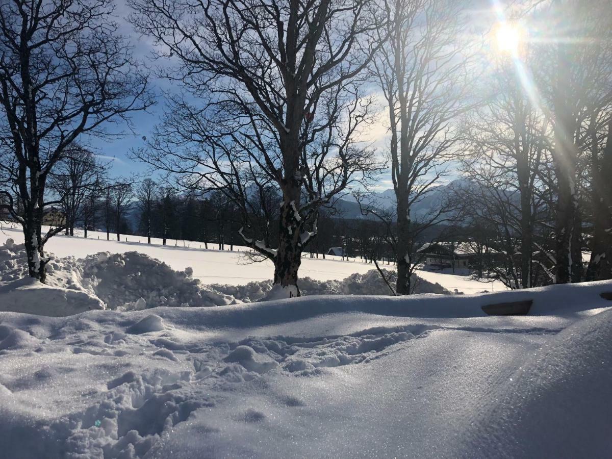 Haus Am Berg Leilighet Ramsau am Dachstein Eksteriør bilde