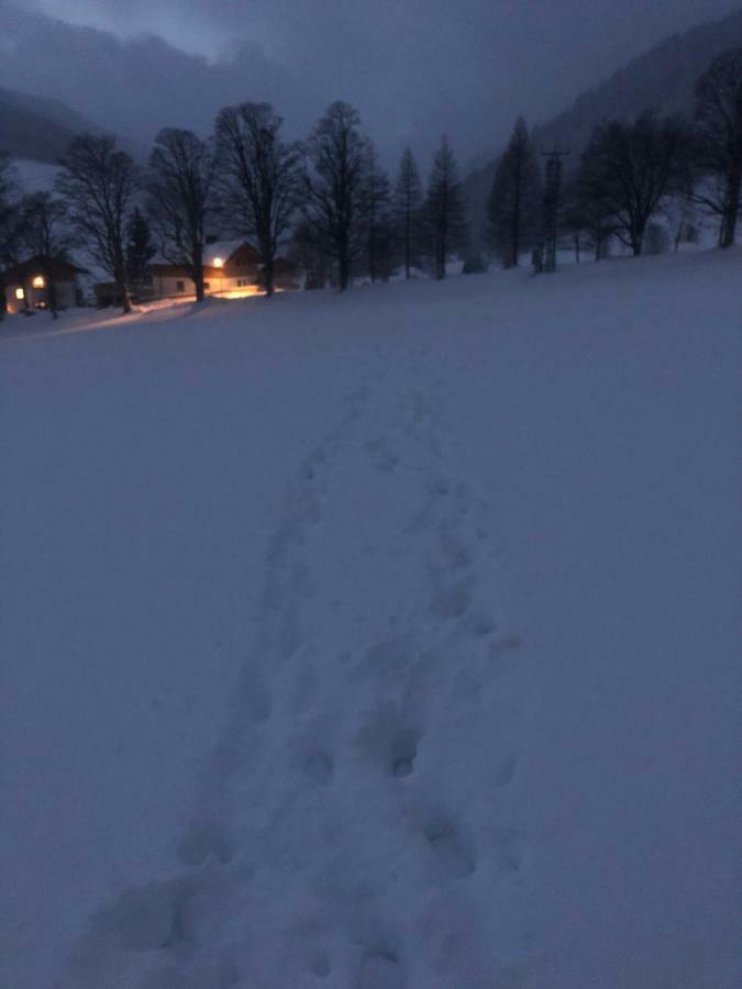 Haus Am Berg Leilighet Ramsau am Dachstein Eksteriør bilde